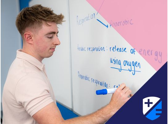 Teacher Andrew Cussen writing on whiteboard